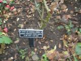 image of grave number 101766